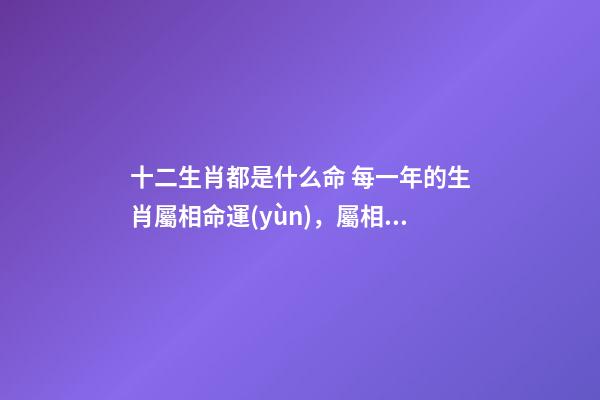 十二生肖都是什么命 每一年的生肖屬相命運(yùn)，屬相與命運(yùn)-第1張-觀點(diǎn)-玄機(jī)派